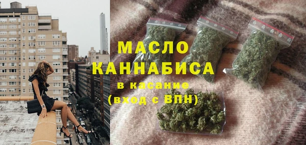 мет Алексин