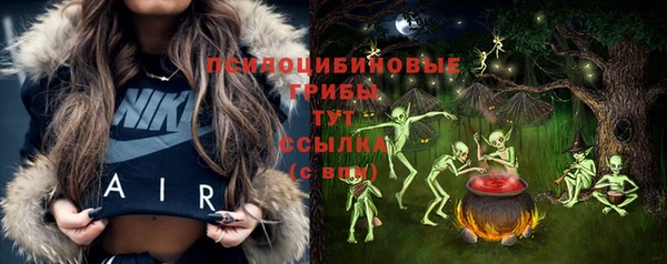 мет Алексин