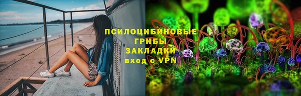 мет Алексин
