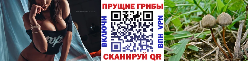 Псилоцибиновые грибы ЛСД  гидра   Сергач 
